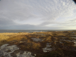Photograph of Pinchard's Island, Newfoundland — November 6, 2017 at 9:00 AM