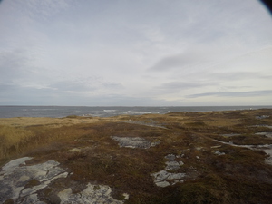 Photograph of Pinchard's Island, Newfoundland — November 6, 2017 at 10:00 AM