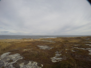 Photograph of Pinchard's Island, Newfoundland — November 6, 2017 at 11:00 AM