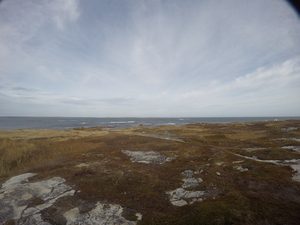Photograph of Pinchard's Island, Newfoundland — November 6, 2017 at 12:56 PM