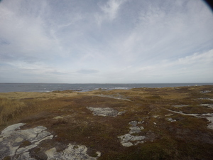 Photograph of Pinchard's Island, Newfoundland — November 6, 2017 at 1:00 PM