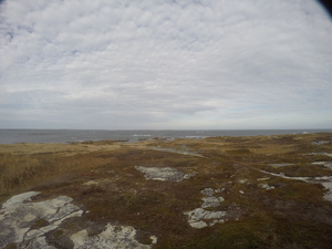 Photograph of Pinchard's Island, Newfoundland — November 6, 2017 at 2:00 PM