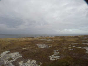 Photograph of Pinchard's Island, Newfoundland — November 6, 2017 at 4:00 PM