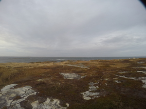 Photograph of Pinchard's Island, Newfoundland — November 6, 2017 at 5:00 PM