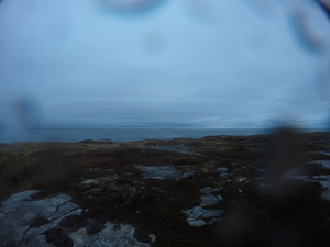 Photograph of Pinchard's Island, Newfoundland — November 7, 2017 at 8:00 AM