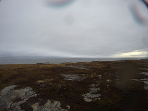 Photograph of Pinchard's Island, Newfoundland — November 7, 2017 at 9:00 AM