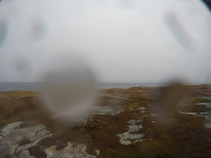 Photograph of Pinchard's Island, Newfoundland — November 7, 2017 at 10:00 AM
