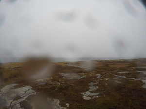 Photograph of Pinchard's Island, Newfoundland — November 7, 2017 at 11:00 AM