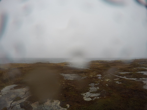 Photograph of Pinchard's Island, Newfoundland — November 7, 2017 at 11:34 AM