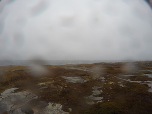 Photograph of Pinchard's Island, Newfoundland — November 7, 2017 at 12:00 PM