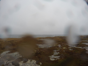 Photograph of Pinchard's Island, Newfoundland — November 7, 2017 at 1:00 PM