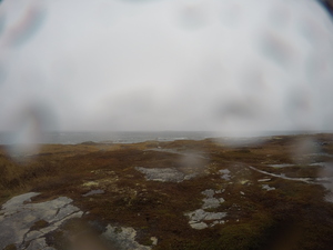 Photograph of Pinchard's Island, Newfoundland — November 7, 2017 at 1:35 PM