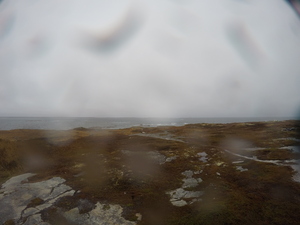 Photograph of Pinchard's Island, Newfoundland — November 7, 2017 at 2:00 PM