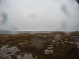Photograph of Pinchard's Island, Newfoundland — November 7, 2017 at 3:00 PM