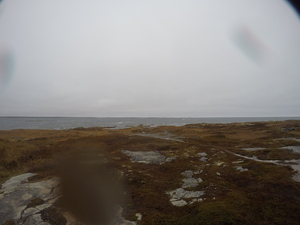 Photograph of Pinchard's Island, Newfoundland — November 7, 2017 at 4:00 PM