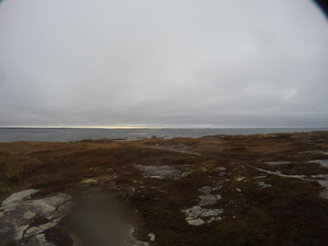 Photograph of Pinchard's Island, Newfoundland — November 7, 2017 at 5:00 PM