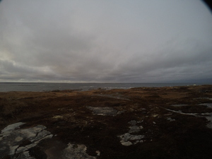 Photograph of Pinchard's Island, Newfoundland — November 7, 2017 at 6:00 PM