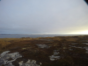 Photograph of Pinchard's Island, Newfoundland — November 8, 2017 at 9:00 AM