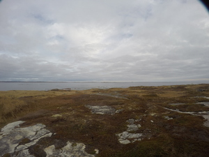 Photograph of Pinchard's Island, Newfoundland — November 8, 2017 at 10:00 AM