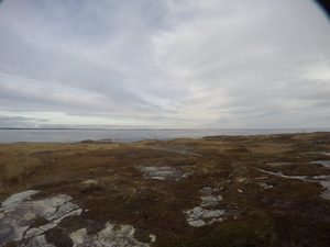 Photograph of Pinchard's Island, Newfoundland — November 8, 2017 at 10:38 AM