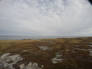 Photograph of Pinchard's Island, Newfoundland — November 8, 2017 at 12:00 PM