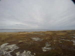 Photograph of Pinchard's Island, Newfoundland — November 8, 2017 at 1:00 PM