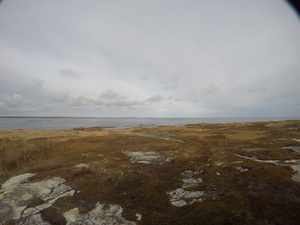 Photograph of Pinchard's Island, Newfoundland — November 8, 2017 at 2:00 PM