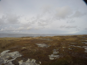 Photograph of Pinchard's Island, Newfoundland — November 8, 2017 at 3:00 PM