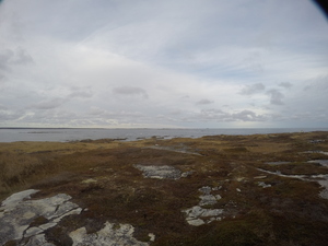 Photograph of Pinchard's Island, Newfoundland — November 8, 2017 at 4:00 PM
