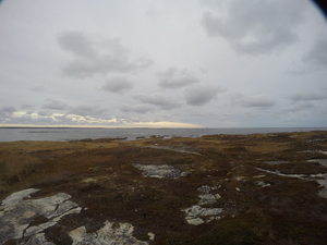 Photograph of Pinchard's Island, Newfoundland — November 8, 2017 at 5:00 PM