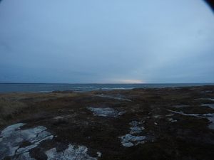 Photograph of Pinchard's Island, Newfoundland — November 9, 2017 at 8:00 AM