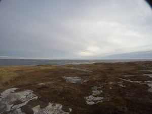 Photograph of Pinchard's Island, Newfoundland — November 9, 2017 at 9:00 AM