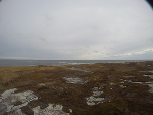Photograph of Pinchard's Island, Newfoundland — November 9, 2017 at 10:00 AM