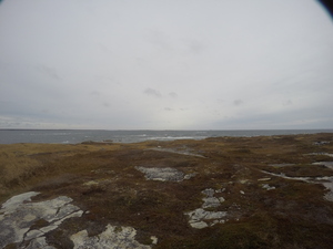 Photograph of Pinchard's Island, Newfoundland — November 9, 2017 at 11:00 AM
