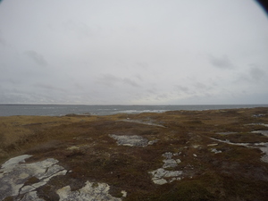 Photograph of Pinchard's Island, Newfoundland — November 9, 2017 at 12:00 PM