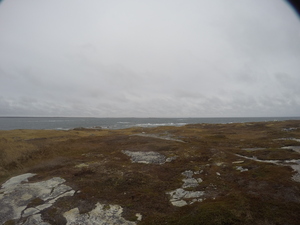 Photograph of Pinchard's Island, Newfoundland — November 9, 2017 at 1:00 PM