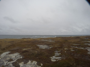 Photograph of Pinchard's Island, Newfoundland — November 9, 2017 at 1:12 PM