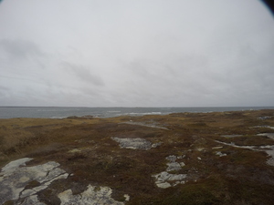 Photograph of Pinchard's Island, Newfoundland — November 9, 2017 at 2:00 PM