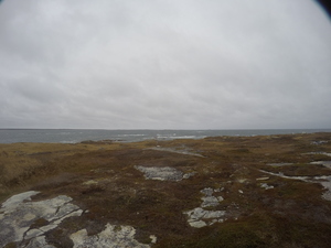 Photograph of Pinchard's Island, Newfoundland — November 9, 2017 at 3:00 PM