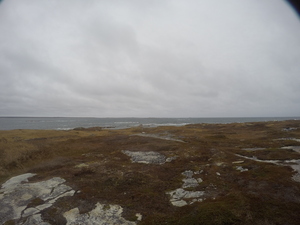 Photograph of Pinchard's Island, Newfoundland — November 9, 2017 at 4:00 PM
