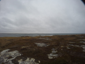 Photograph of Pinchard's Island, Newfoundland — November 9, 2017 at 5:00 PM