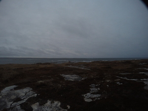 Photograph of Pinchard's Island, Newfoundland — November 9, 2017 at 6:00 PM