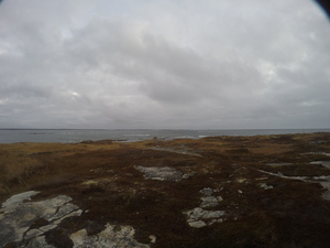 Photograph of Pinchard's Island, Newfoundland — November 10, 2017 at 8:00 AM