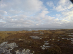 Photograph of Pinchard's Island, Newfoundland — November 10, 2017 at 9:00 AM
