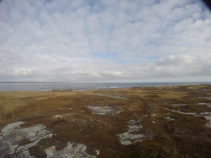 Photograph of Pinchard's Island, Newfoundland — November 10, 2017 at 11:00 AM
