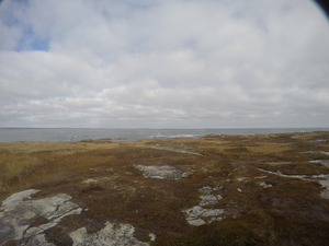 Photograph of Pinchard's Island, Newfoundland — November 10, 2017 at 12:00 PM