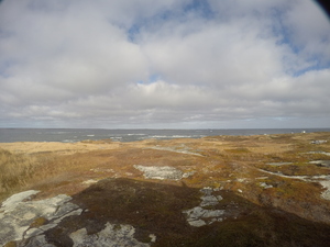 Photograph of Pinchard's Island, Newfoundland — November 10, 2017 at 1:00 PM