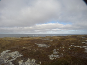 Photograph of Pinchard's Island, Newfoundland — November 10, 2017 at 2:00 PM