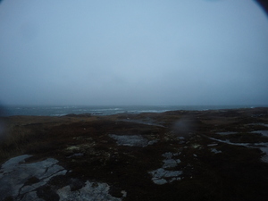 Photograph of Pinchard's Island, Newfoundland — November 11, 2017 at 8:00 AM