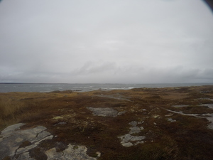 Photograph of Pinchard's Island, Newfoundland — November 11, 2017 at 9:00 AM